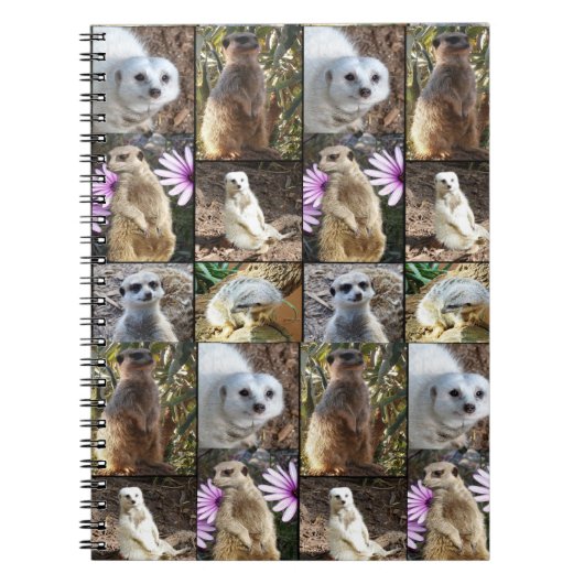 Meerkat Photo Collage Notitieboek (Voorkant)