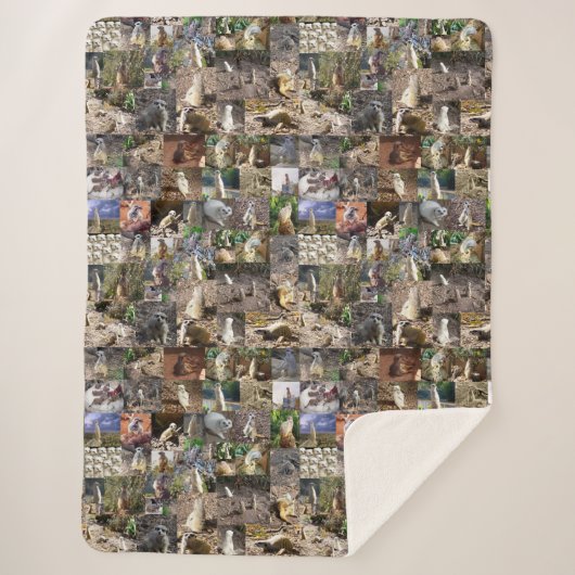 Meerkat Photo Collage Sherpa Deken (Voorkant)