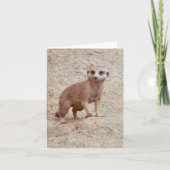 Meerkat Photo Folded Note Kaart (Voorkant)