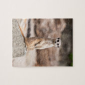 Meerkat Photo Puzzle Legpuzzel (Horizontaal)