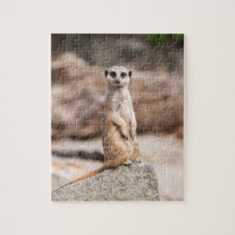 Meerkat Photo Puzzle Legpuzzel