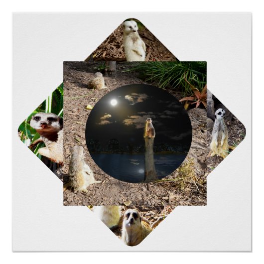 Meerkat Polyscope, Perfect Poster (Voorkant)