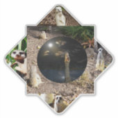 Meerkat Polyscope, Sticker (Voorkant)