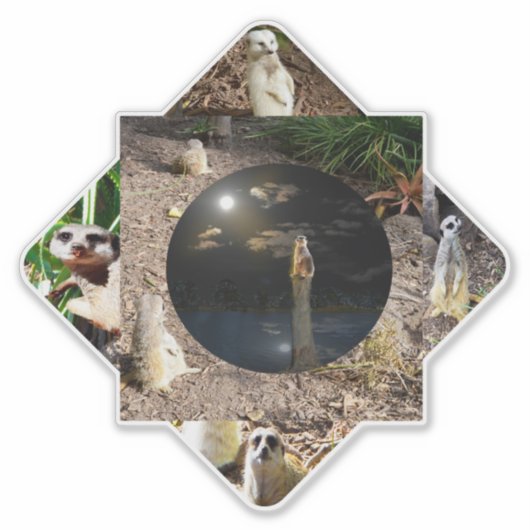 Meerkat Polyscope, Sticker (Voorkant)