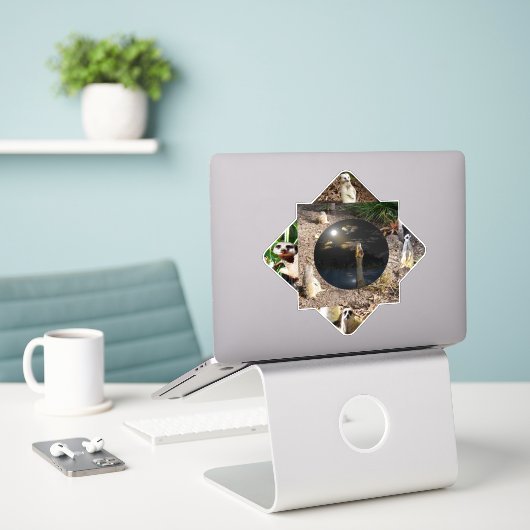 Meerkat Polyscope, Sticker (Laptop op bureau)