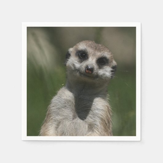 Meerkat-Portrait 004 Servetten (Voorkant)
