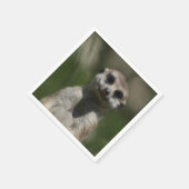 Meerkat-Portrait 004 Servetten (Hoek)