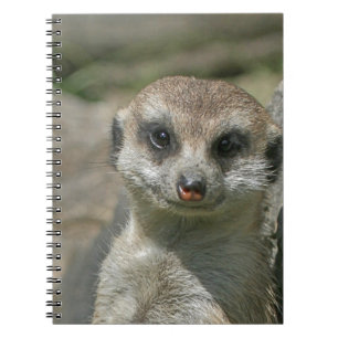 Meerkat-portret 003 notitieboek
