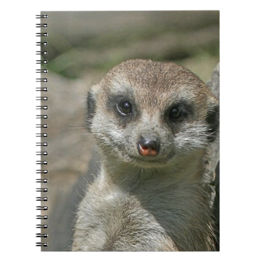 Meerkat-portret 003 notitieboek (Voorkant)