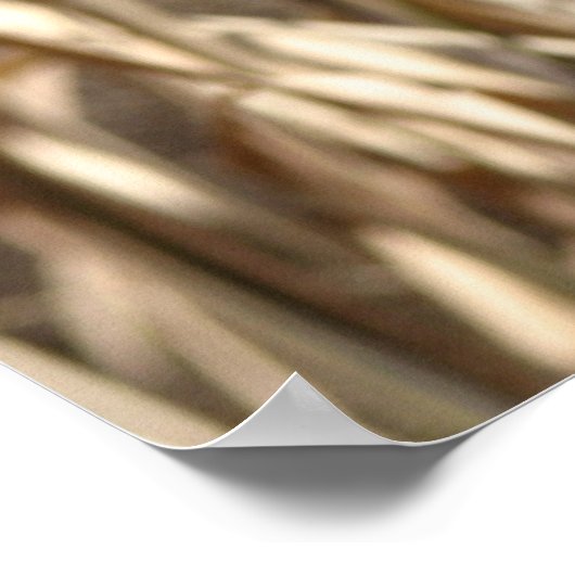 Meerkat Poser Poster (Hoek)