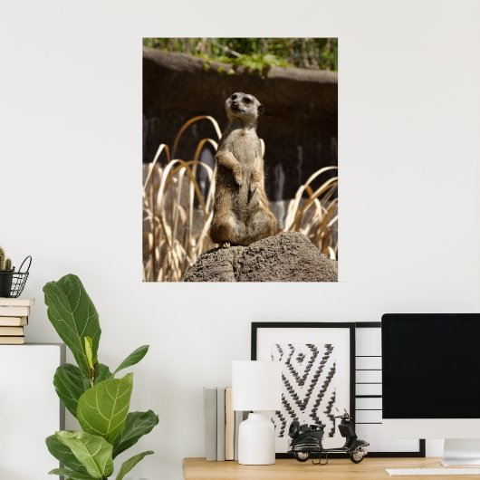 Meerkat Poser Poster (Thuiskantoor)