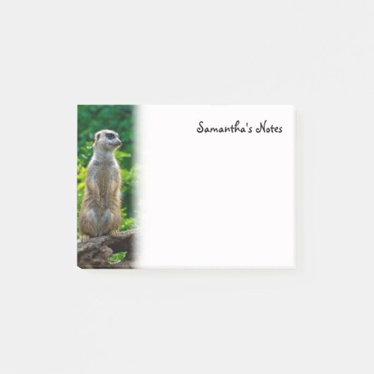 Meerkat Post-It Notes (Voorkant)