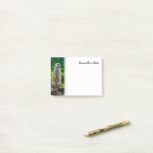 Meerkat Post-It Notes (Op bureau)