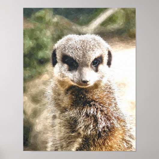 MEERKAT POSTER (Voorkant)