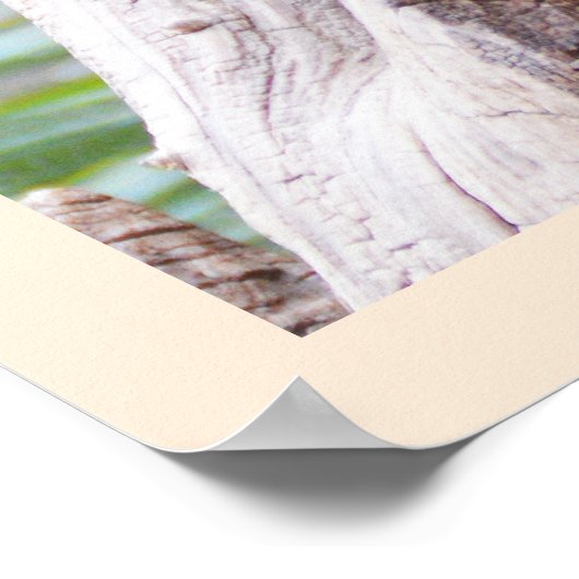 Meerkat Poster (Hoek)