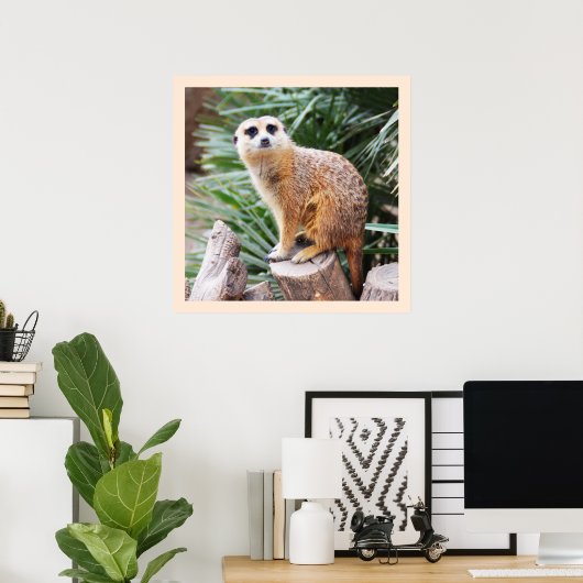 Meerkat Poster (Thuiskantoor)