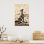 Meerkat Poster (Keuken)