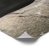 Meerkat Poster (Hoek)