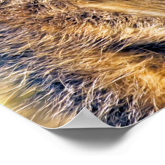 MEERKAT POSTER (Hoek)