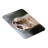 Meerkat Premium Magnet Magneet (Rechterzijde)