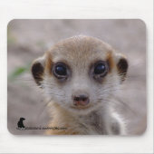 Meerkat Pup Mousepad Muismat (Voorkant)