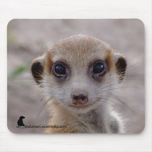 Meerkat Pup Mousepad Muismat (Voorkant)