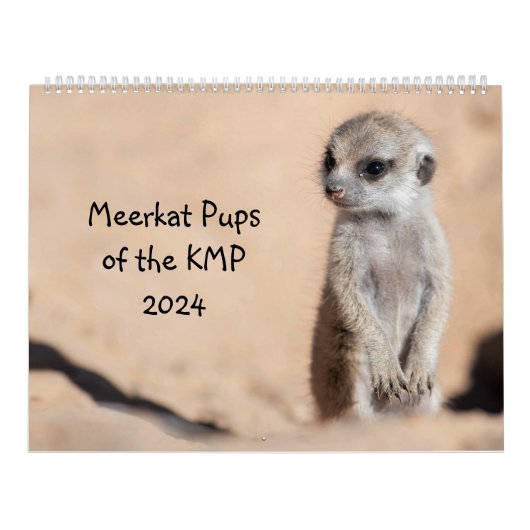 Meerkat Pups van de KMP 2024 Kalender (Hoes)