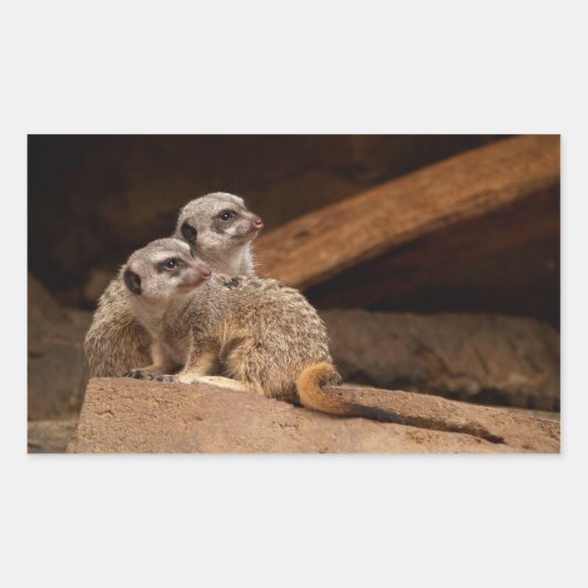 Meerkat Rechthoek Sticker (Voorkant)