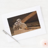 Meerkat Rechthoek Sticker (Envelop)
