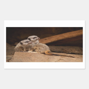 Meerkat Rechthoek Sticker