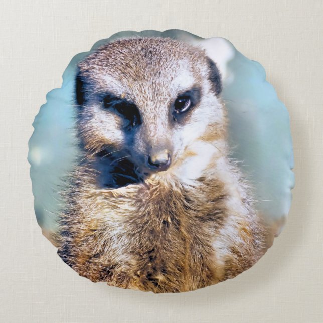 MEERKAT ROND KUSSEN (Voorkant)