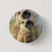 Meerkat Ronde Button 3,2 Cm (Voorkant)