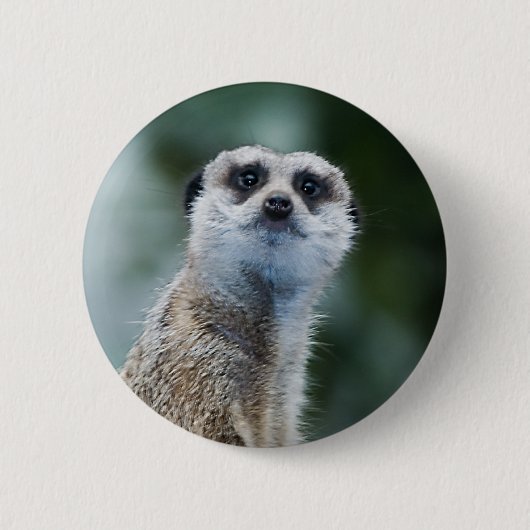 Meerkat Ronde Button 5,7 Cm (Voorkant)