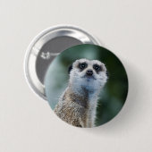 Meerkat Ronde Button 5,7 Cm (Voorkant /achterkant)
