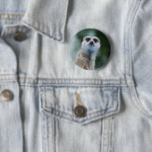 Meerkat Ronde Button 5,7 Cm (In situ)