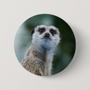 Meerkat Ronde Button 5,7 Cm