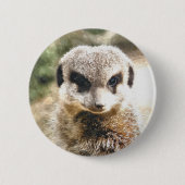 MEERKAT RONDE BUTTON 5,7 CM (Voorkant)
