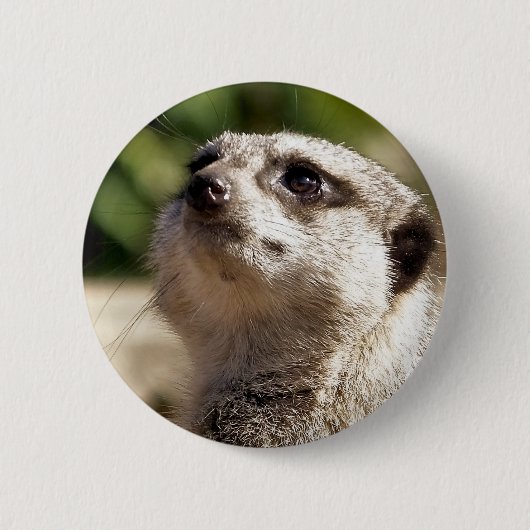 MEERKAT RONDE BUTTON 5,7 CM (Voorkant)