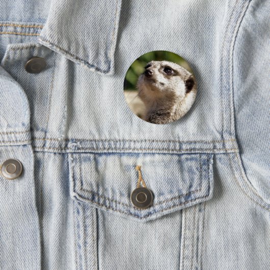MEERKAT RONDE BUTTON 5,7 CM (In situ)