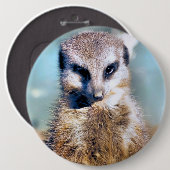 MEERKAT RONDE BUTTON 6,0 CM (Voorkant /achterkant)