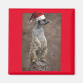 Meerkat-Santa Magneet (Voorkant)