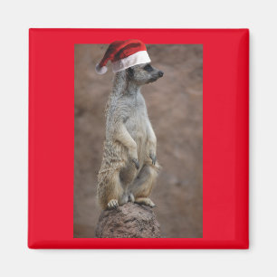 Meerkat-Santa Magneet