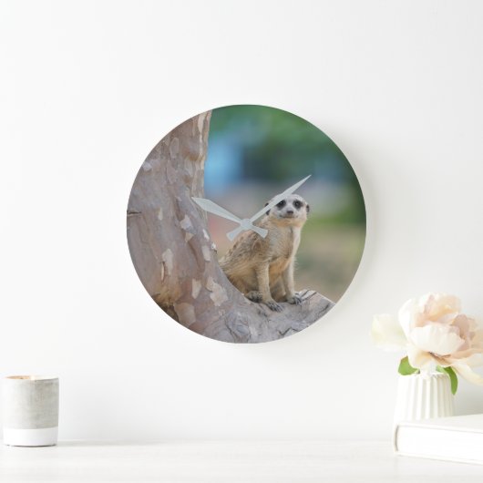 Meerkat Sat on Tree Grote Klok (Huis)