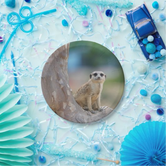 Meerkat Sat on Tree Papieren Bordje (Feest)