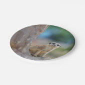 Meerkat Sat on Tree Papieren Bordje (Gekanteld)