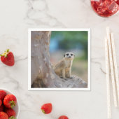 Meerkat Sat on Tree Servet (Insitu)