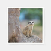 Meerkat Sat on Tree Servet (Voorkant)