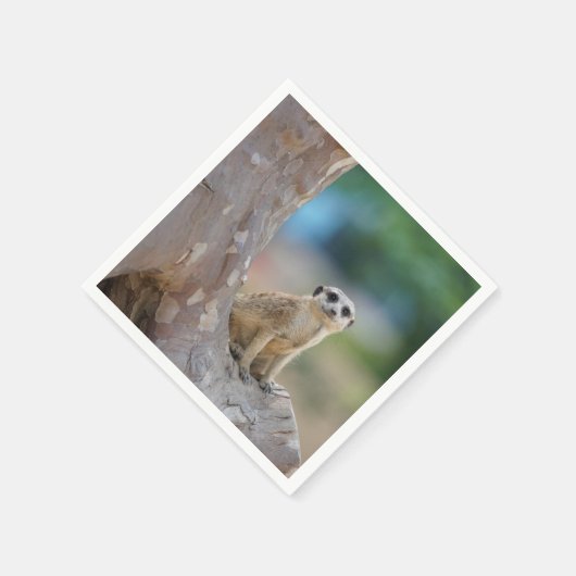 Meerkat Sat on Tree Servet (Hoek)