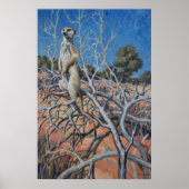 Meerkat sentinel - Kunstdruk Poster (Voorkant)