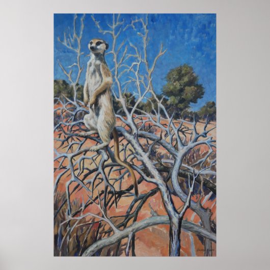 Meerkat sentinel - Kunstdruk Poster (Voorkant)